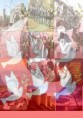 türkiye kardeşliği